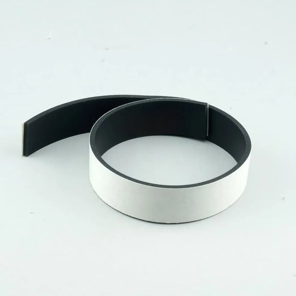 Simplicity Clean Air Rear Strip Seal [B388-5200] - VacuumStore.com